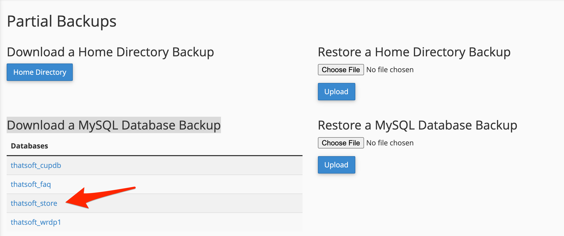 cPanel Backup